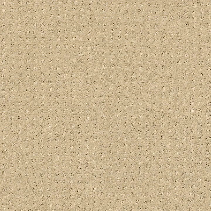 Shaw Floors Loyal Beauty Pattern — French Linen · EA183-00103 — flooring selection with LeviArs Design & Remodeling