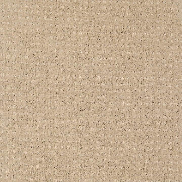 Shaw Floors Loyal Beauty Pattern — Mesa · EA183-00105 — flooring selection with LeviArs Design & Remodeling