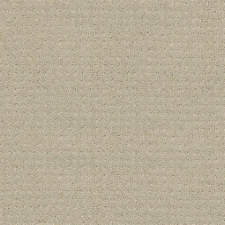 Shaw Floors My Choice Pattern — Textured Canvas · E0653-00150 — flooring selection with LeviArs Design & Remodeling