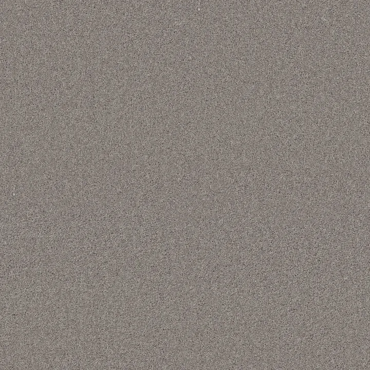 Shaw Floors My Choice I — Ash · E0650-00550 — flooring selection with LeviArs Design & Remodeling