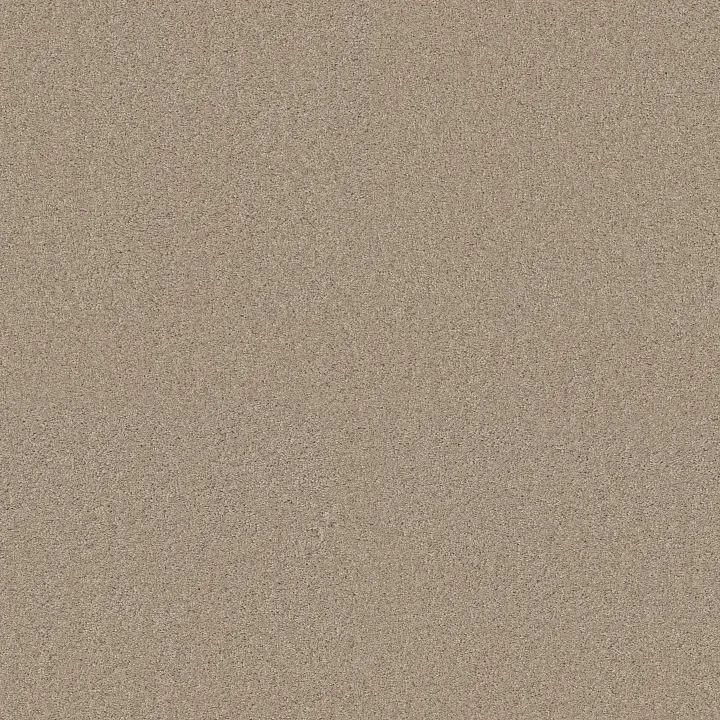 Shaw Floors My Choice I — Bare Essence · E0650-00151 — flooring selection with LeviArs Design & Remodeling