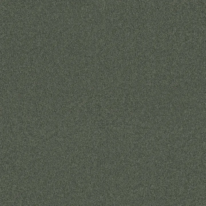 Shaw Floors My Choice I — Bay Laurel · E0650-00351 — flooring selection with LeviArs Design & Remodeling