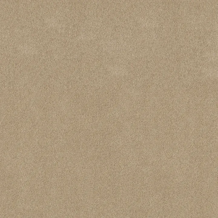 Shaw Floors My Inspiration I — Beach Walk · EA559-00126 — flooring selection with LeviArs Design & Remodeling