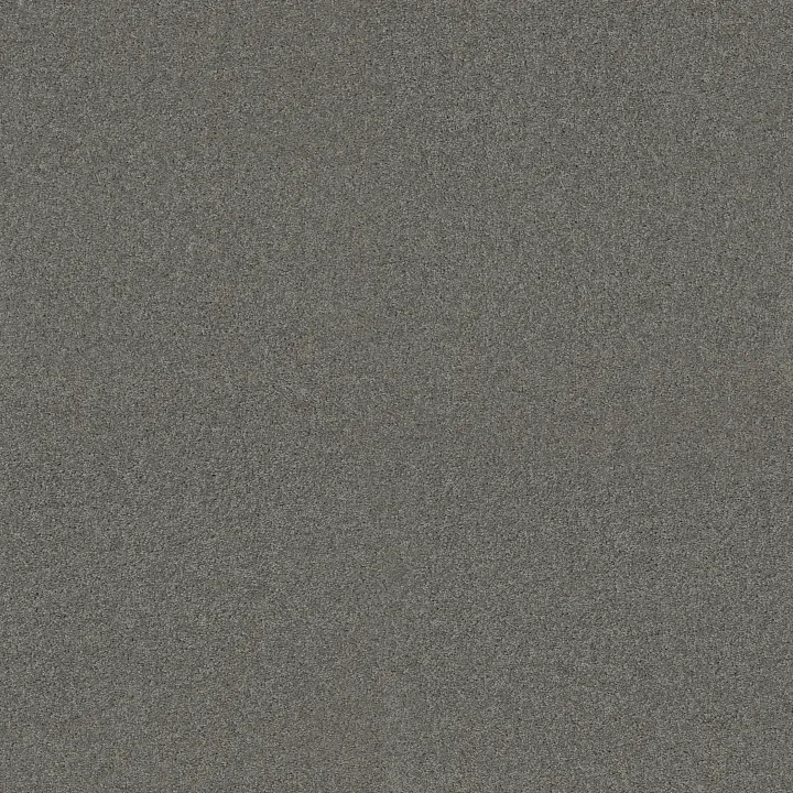 Shaw Floors My Choice I — Charcoal · E0650-00551 — flooring selection with LeviArs Design & Remodeling