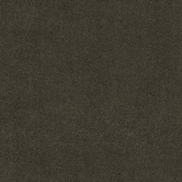 Shaw Floors My Inspiration I — Chocolate · EA559-00758 — flooring selection with LeviArs Design & Remodeling