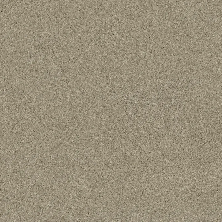 Shaw Floors My Inspiration I — Cityscape · EA559-00109 — flooring selection with LeviArs Design & Remodeling