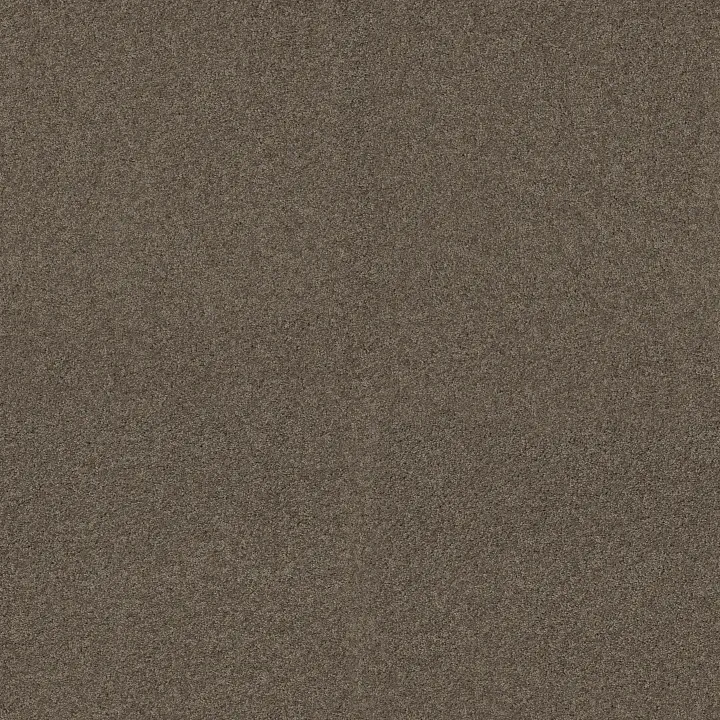 Shaw Floors My Choice I — Flax · E0650-00751 — flooring selection with LeviArs Design & Remodeling