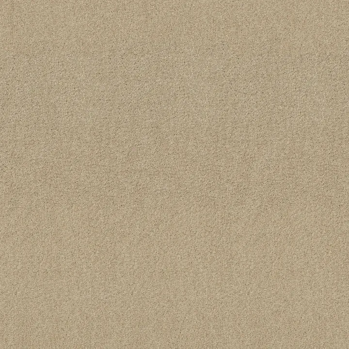 Shaw Floors My Inspiration I — French Linen · EA559-00103 — flooring selection with LeviArs Design & Remodeling