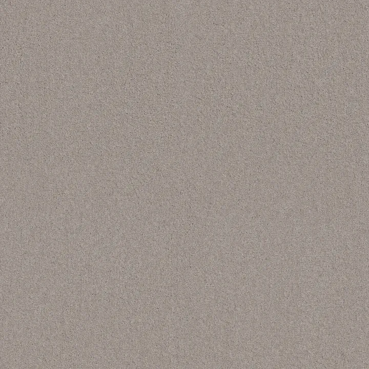 Shaw Floors My Choice I — Glaze · E0650-00154 — flooring selection with LeviArs Design & Remodeling
