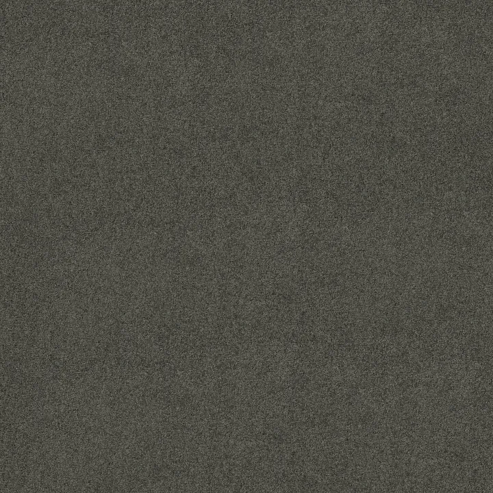 Shaw Floors My Choice I — Graphite · E0650-00754 — flooring selection with LeviArs Design & Remodeling