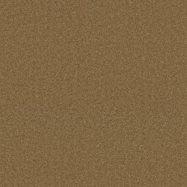 Shaw Floors My Choice I — Honey Pot · E0650-00722 — flooring selection with LeviArs Design & Remodeling