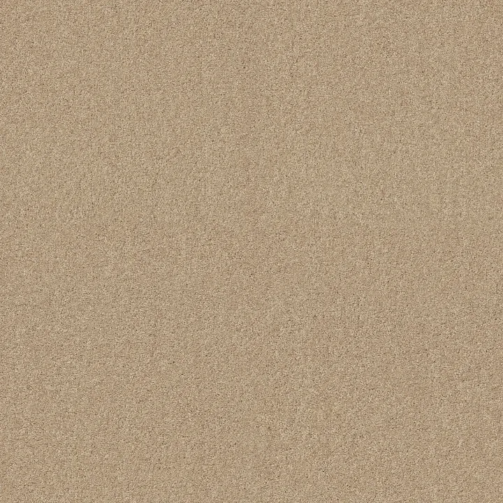 Shaw Floors My Inspiration I — Mesa · EA559-00105 — flooring selection with LeviArs Design & Remodeling