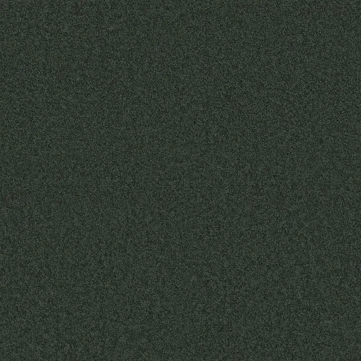 Shaw Floors My Choice I — Peaceful Garden · E0650-00352 — flooring selection with LeviArs Design & Remodeling