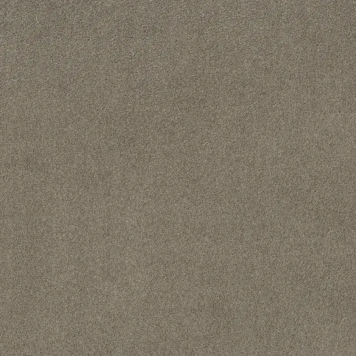 Shaw Floors My Choice I — Rocky Coast · E0650-00750 — flooring selection with LeviArs Design & Remodeling