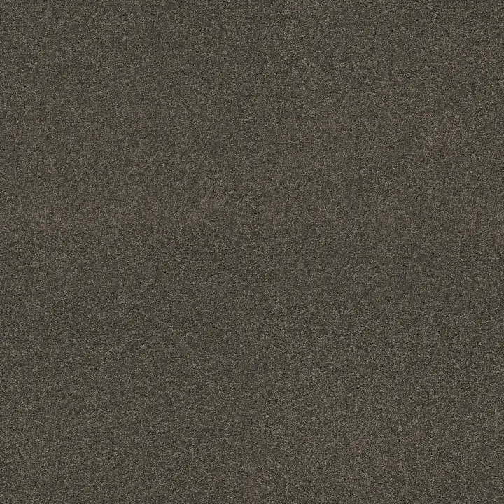 Shaw Floors My Choice I — Rustic Elegance · E0650-00752 — flooring selection with LeviArs Design & Remodeling