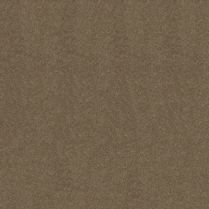 Shaw Floors My Inspiration I — Saffron · EA559-00757 — flooring selection with LeviArs Design & Remodeling