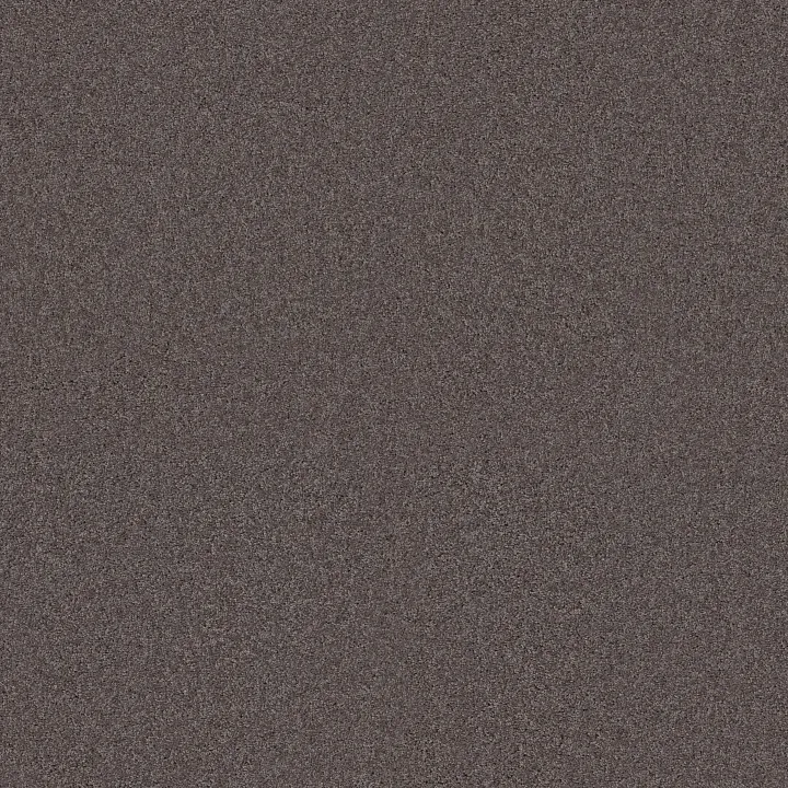 Shaw Floors My Inspiration I — Sepia · EA559-00950 — flooring selection with LeviArs Design & Remodeling