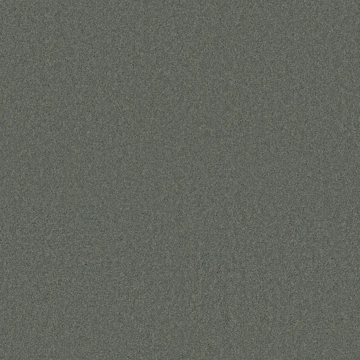 Shaw Floors My Choice I — Silver Sage · E0650-00350 — flooring selection with LeviArs Design & Remodeling