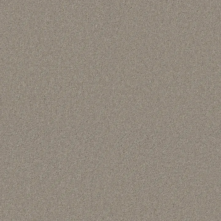 Shaw Floors My Inspiration I — Textured Canvas · EA559-00150 — flooring selection with LeviArs Design & Remodeling