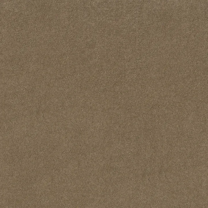 Shaw Floors My Choice I — Twig · E0650-00702 — flooring selection with LeviArs Design & Remodeling