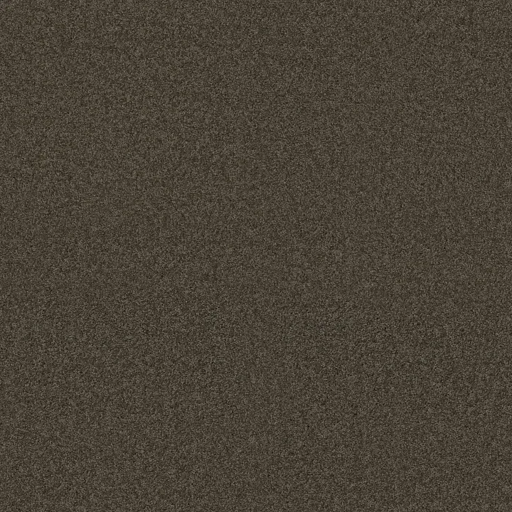 Shaw Floors My Inspiration I — Weathered Wood · EA559-00759 — flooring selection with LeviArs Design & Remodeling
