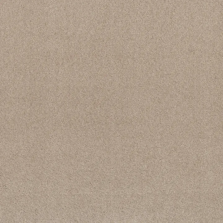 Shaw Floors Keen Senses I — Barista · E9714-00191 — flooring selection with LeviArs Design & Remodeling
