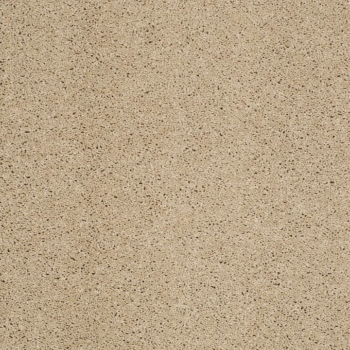 Shaw Floors Loyal Beauty II — Beach Walk · EA163-00126 — flooring selection with LeviArs Design & Remodeling