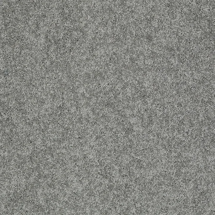 Shaw Floors My Choice II — Charcoal · E0651-00551 — flooring selection with LeviArs Design & Remodeling