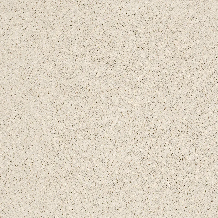 Shaw Floors Keen Senses I — Ivory Paper · E9714-00180 — flooring selection with LeviArs Design & Remodeling