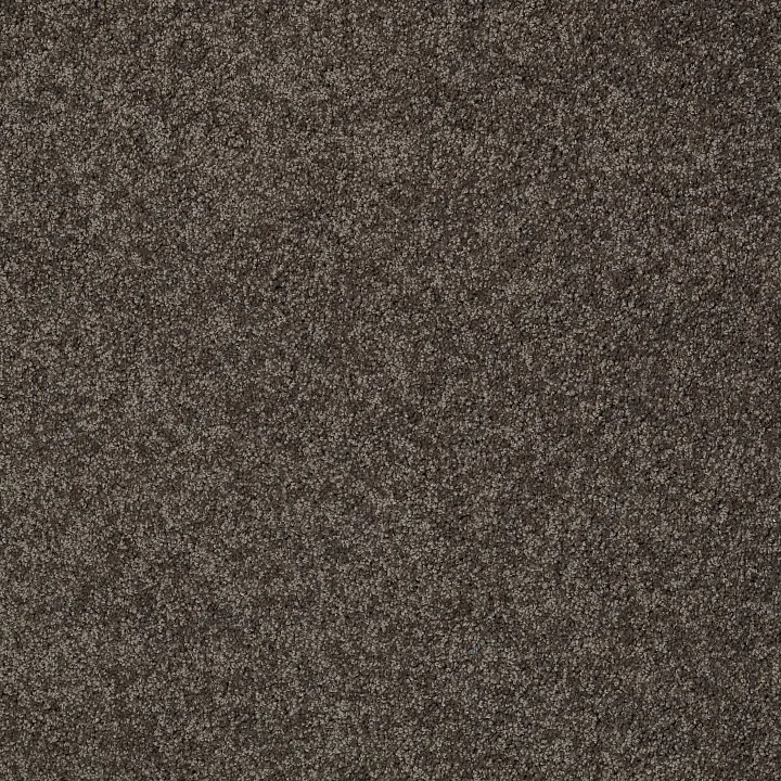 Shaw Floors My Choice II — Chocolate · E0651-00758 — flooring selection with LeviArs Design & Remodeling
