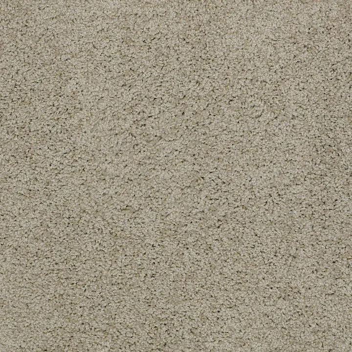 Shaw Floors Loyal Beauty II — City Scape · EA163-00109 — flooring selection with LeviArs Design & Remodeling