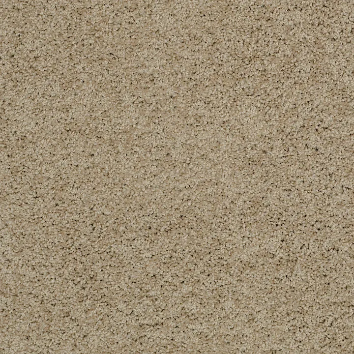 Shaw Floors Keen Senses I — Safari · E9714-00188 — flooring selection with LeviArs Design & Remodeling