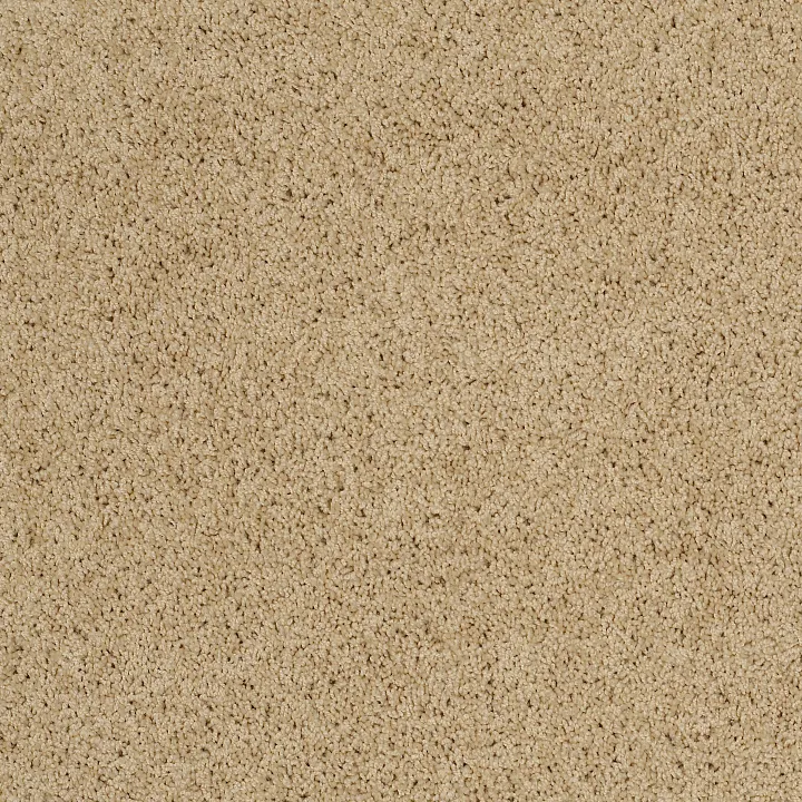 Shaw Floors Keen Senses I — Golden Rule · E9714-00185 — flooring selection with LeviArs Design & Remodeling