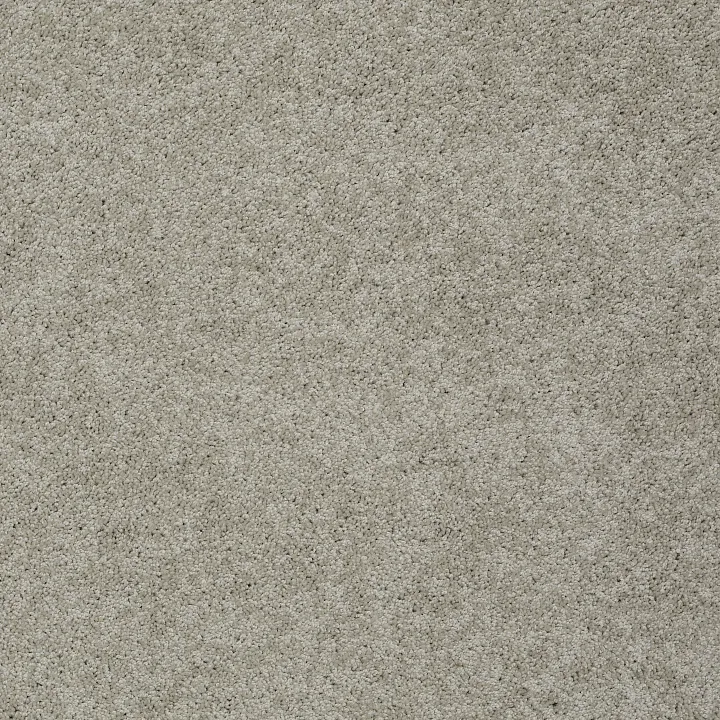 Shaw Floors My Choice II — Natural · E0651-00153 — flooring selection with LeviArs Design & Remodeling