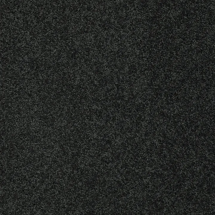 Shaw Floors My Choice II — Peaceful Garden · E0651-00352 — flooring selection with LeviArs Design & Remodeling