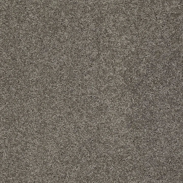 Shaw Floors My Choice II — Rustic Elegance · E0651-00752 — flooring selection with LeviArs Design & Remodeling