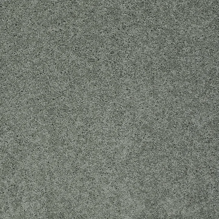 Shaw Floors My Choice II — Silver Sage · E0651-00350 — flooring selection with LeviArs Design & Remodeling