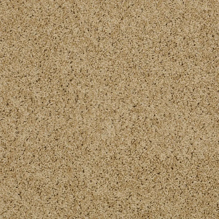 Shaw Floors Loyal Beauty II — Taffeta · EA163-00107 — flooring selection with LeviArs Design & Remodeling