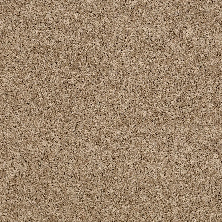 Shaw Floors My Choice II — Twig · E0651-00702 — flooring selection with LeviArs Design & Remodeling