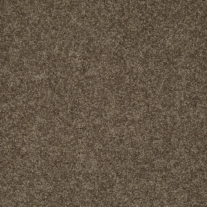 Shaw Floors My Choice II — Weathered Wood · E0651-00759 — flooring selection with LeviArs Design & Remodeling