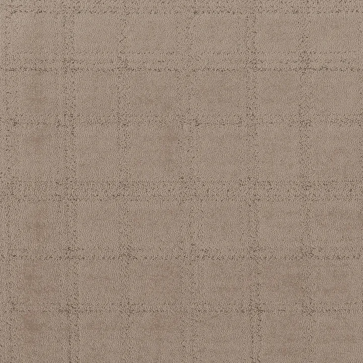 Shaw Floors Natural Calm — Cameo · 5E589-00113 — flooring selection with LeviArs Design & Remodeling