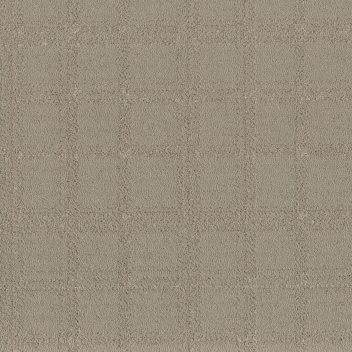Shaw Floors Natural Calm — Sculpture · 5E589-00115 — flooring selection with LeviArs Design & Remodeling