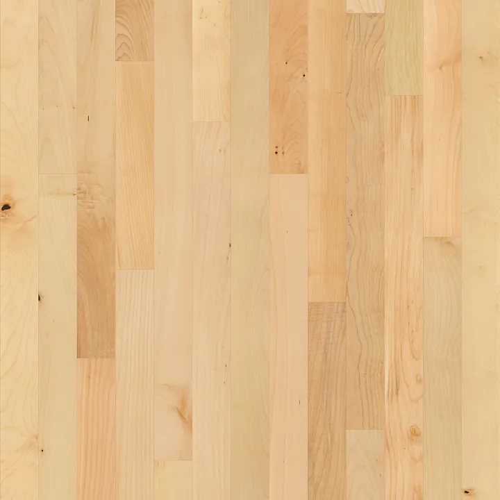 Shaw Floors Natural Classics Hard Maple 3" — Natural Hard Maple · SW780-01148 — flooring selection with LeviArs Design & Remodeling