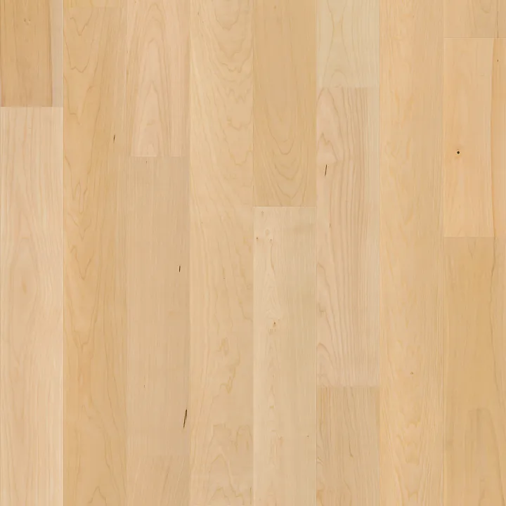 Shaw Floors Natural Classics Hard Maple 5" — Natural Hard Maple · SW781-01148 — flooring selection with LeviArs Design & Remodeling