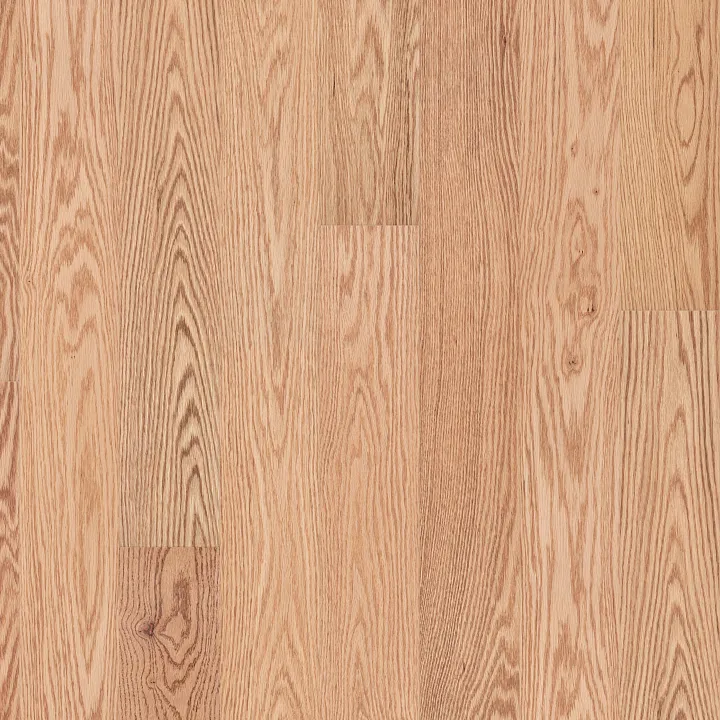 Shaw Floors Natural Classics Red Oak 5" — Natural Red Oak · SW784-01149 — flooring selection with LeviArs Design & Remodeling