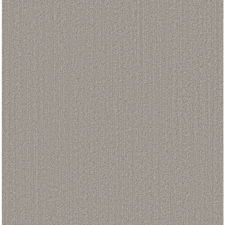 Shaw Floors Natural Embrace — Platinum · 5E877-00502 — flooring selection with LeviArs Design & Remodeling