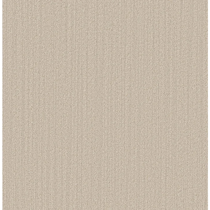 Shaw Floors Natural Embrace — Wool Blanket · 5E877-00105 — flooring selection with LeviArs Design & Remodeling