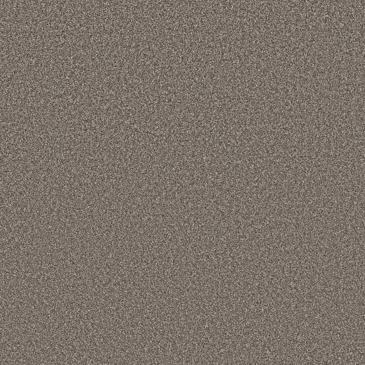 Shaw Floors Affirmation II — Creek Bend · 5E795-00712 — flooring selection with LeviArs Design & Remodeling