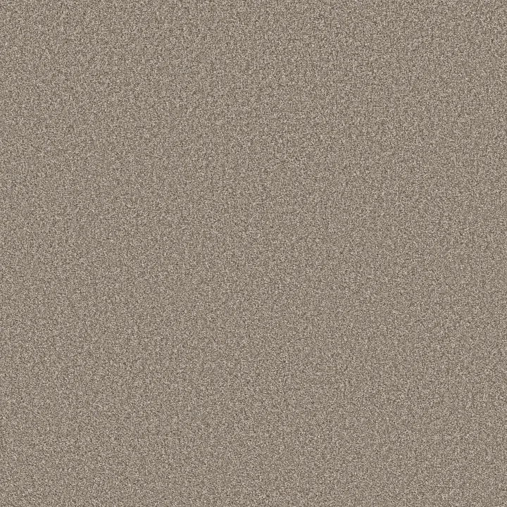 Shaw Floors Affirmation II — Plateau · 5E795-00110 — flooring selection with LeviArs Design & Remodeling