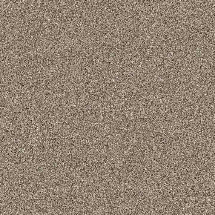 Shaw Floors Affirmation II — Midtown · 5E795-00711 — flooring selection with LeviArs Design & Remodeling